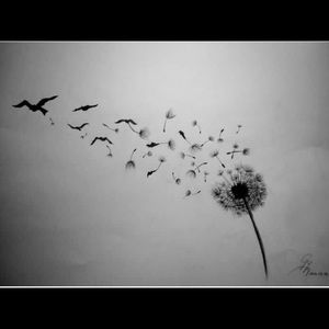 Meet your Posher, Jenn